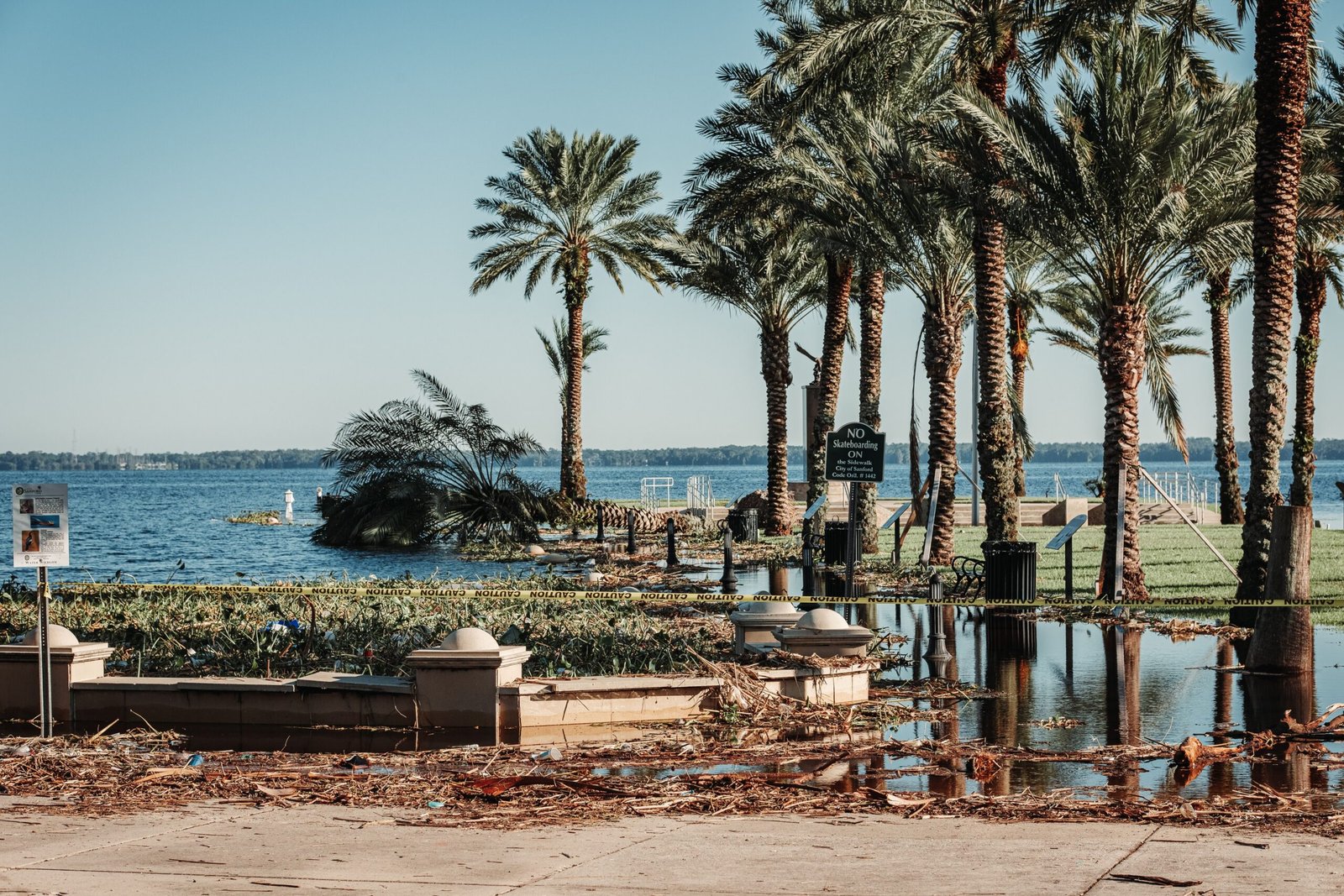 Palm trees along a flooded coastal road after a tropical storm