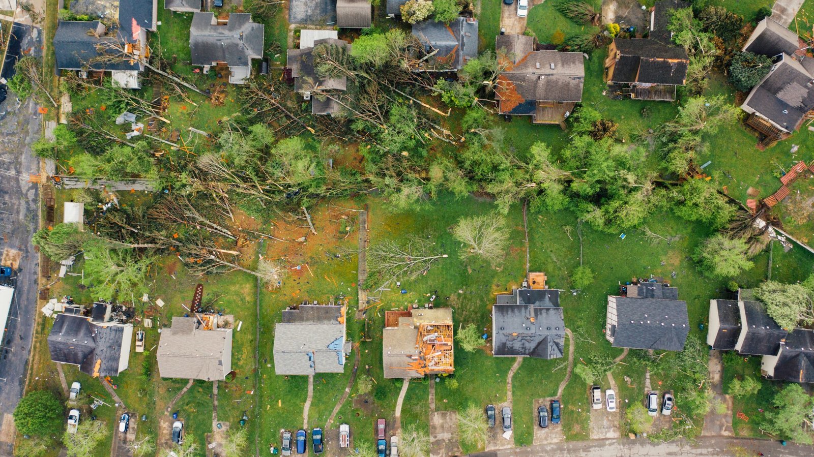 Neighborhood rooftops damaged and trees downed after a severe windstorm